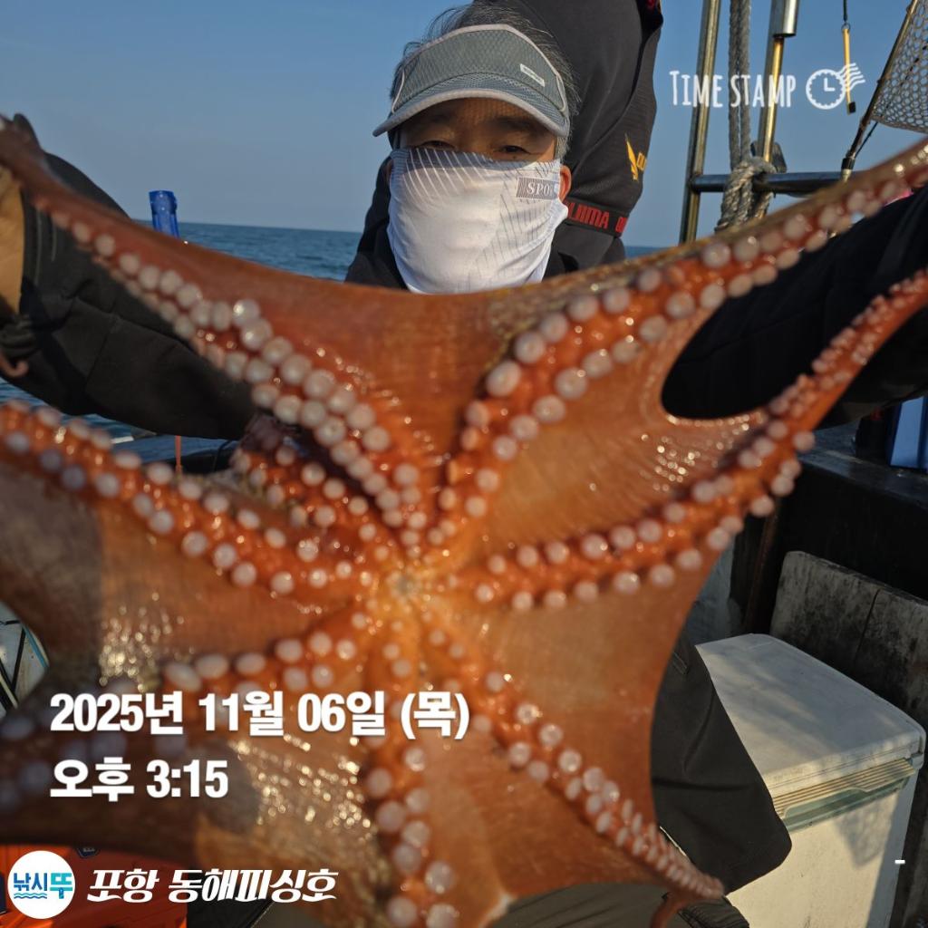 낚시뚜,돌문어,포항(운하관),포항 동해피싱호,낚시뚜6