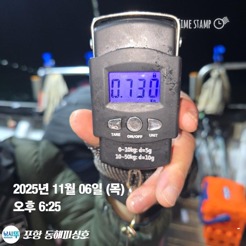 낚시뚜,돌문어,포항(운하관),포항 동해피싱호,낚시뚜3