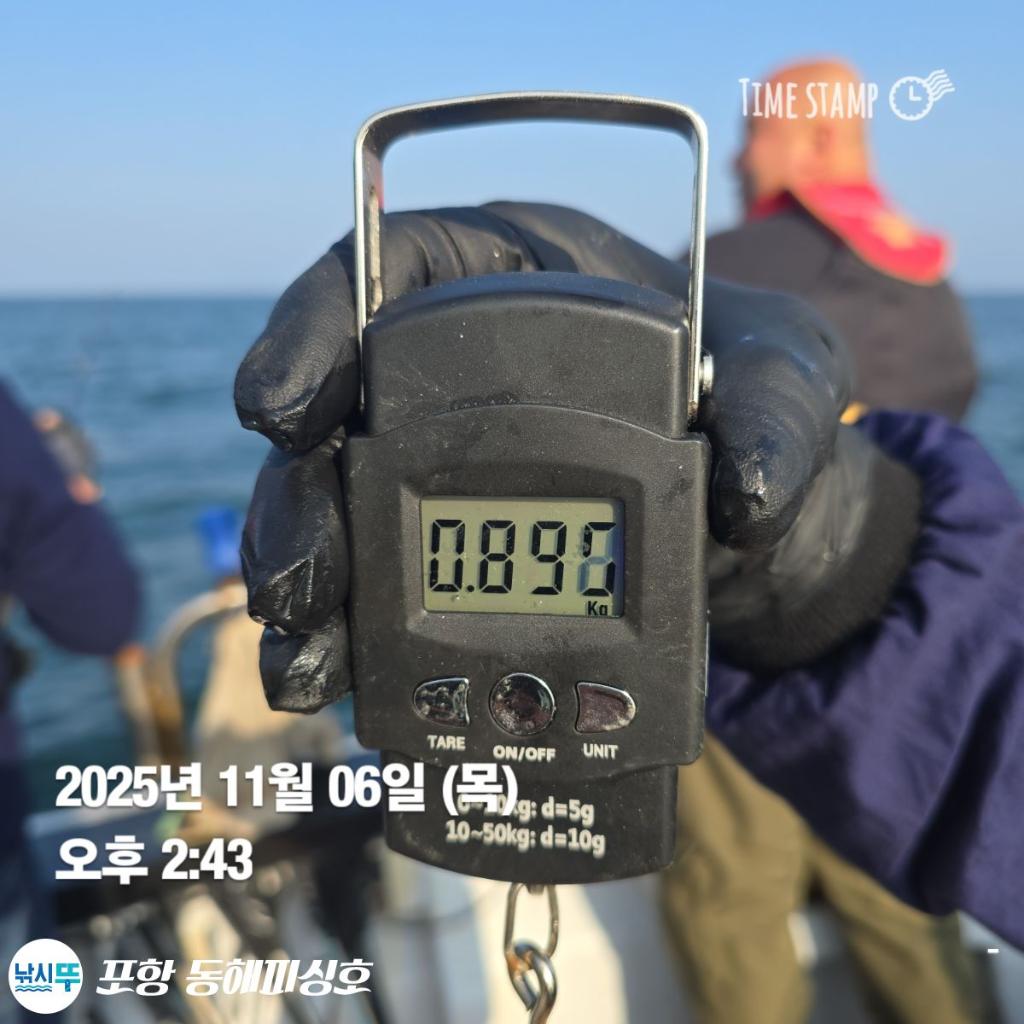 낚시뚜,돌문어,포항(운하관),포항 동해피싱호,낚시뚜1