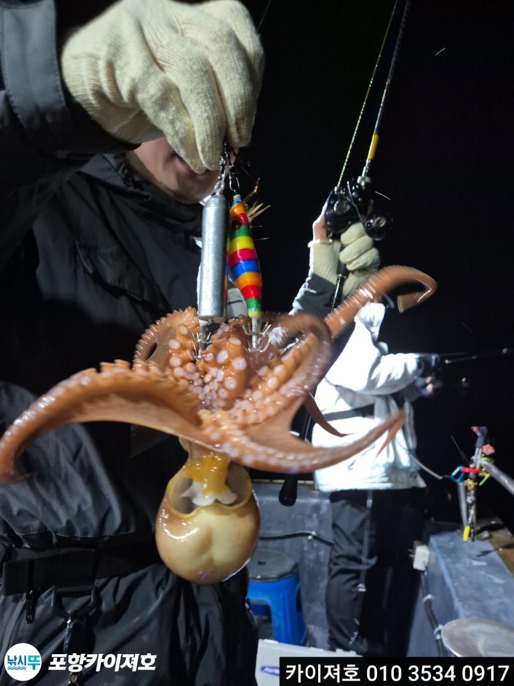 낚시뚜,기타 (직접입력),영일만항,포항카이져호,낚시뚜16