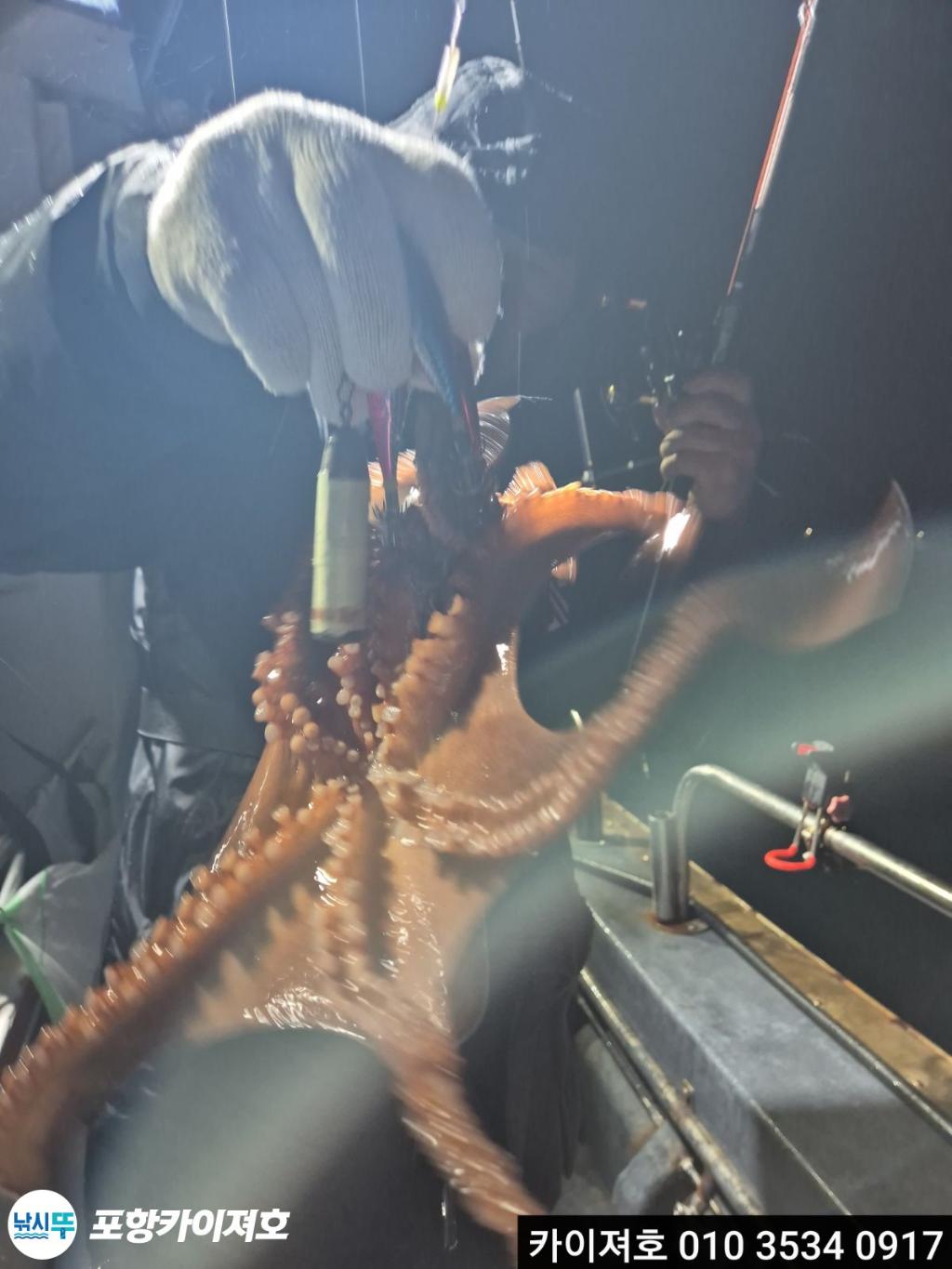 낚시뚜,기타 (직접입력),영일만항,포항카이져호,낚시뚜6