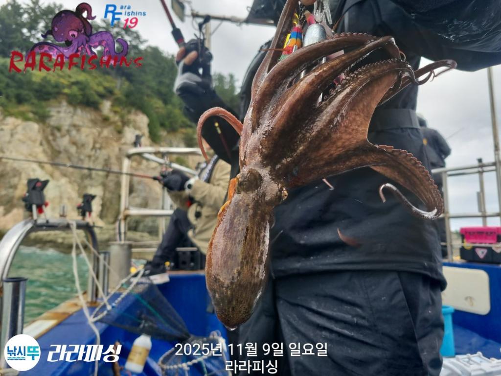 낚시뚜,돌문어,속천항(진해),라라피싱,낚시뚜6