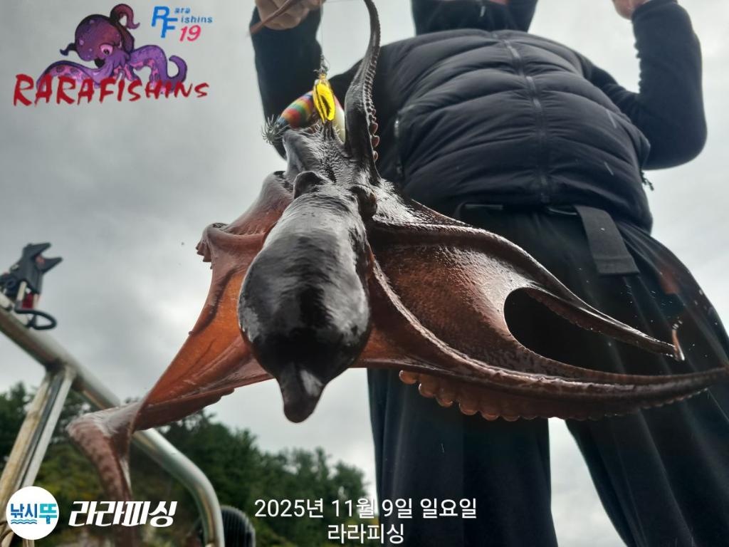 낚시뚜,돌문어,속천항(진해),라라피싱,낚시뚜4