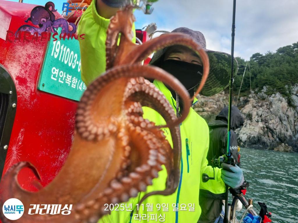 낚시뚜,돌문어,속천항(진해),라라피싱,낚시뚜2