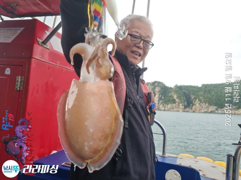 낚시뚜,돌문어,속천항(진해),라라피싱,낚시뚜14