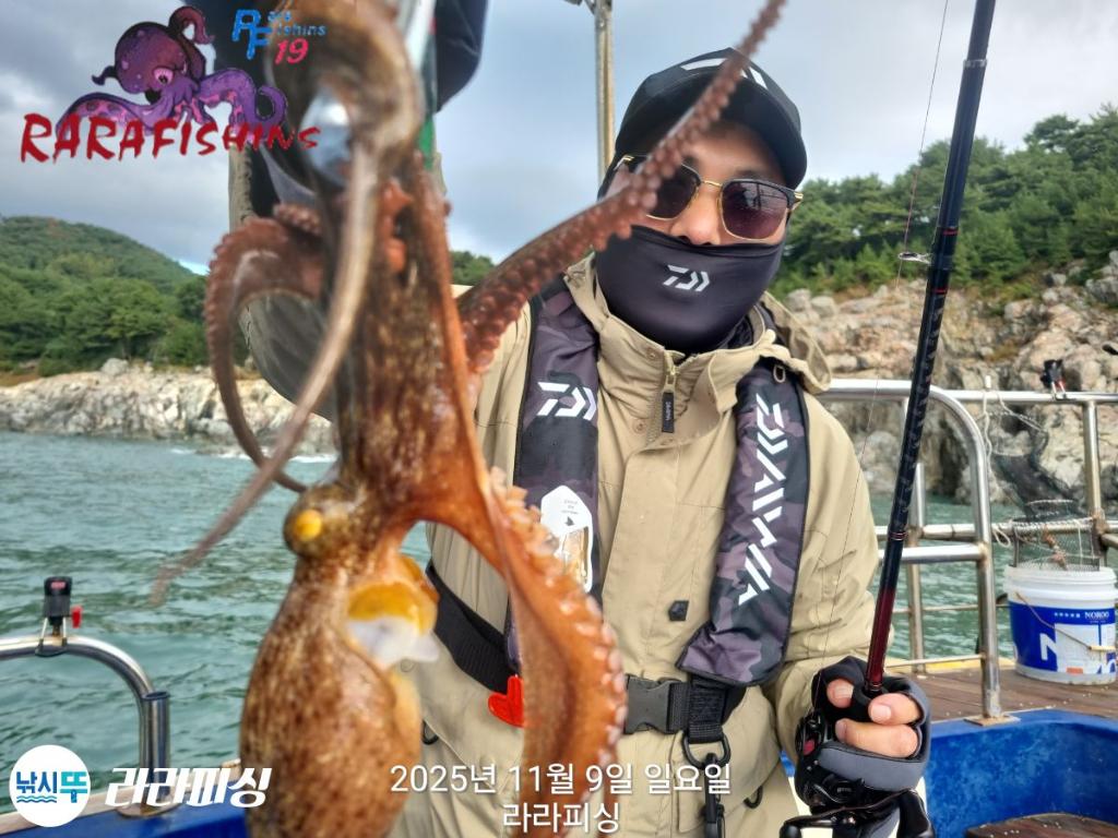 낚시뚜,돌문어,속천항(진해),라라피싱,낚시뚜13