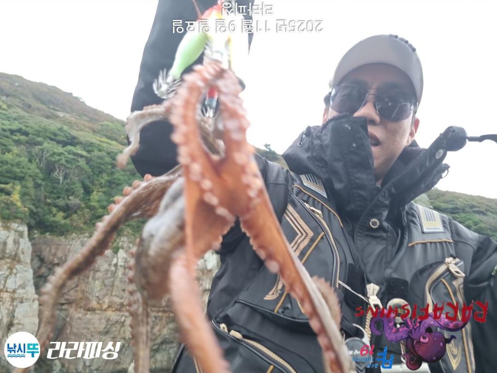 낚시뚜,돌문어,속천항(진해),라라피싱,낚시뚜12