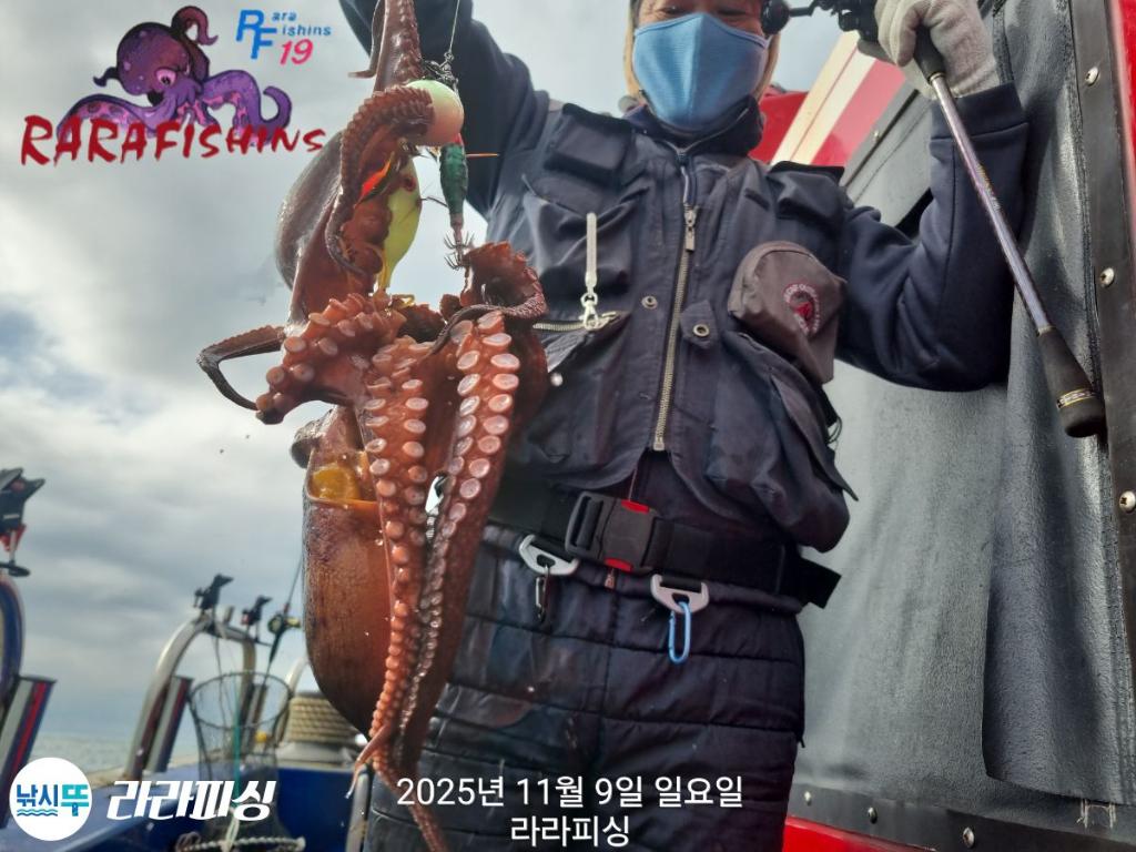 낚시뚜,돌문어,속천항(진해),라라피싱,낚시뚜6