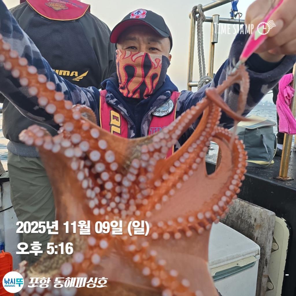 낚시뚜,돌문어,포항(운하관),포항 동해피싱호,낚시뚜20