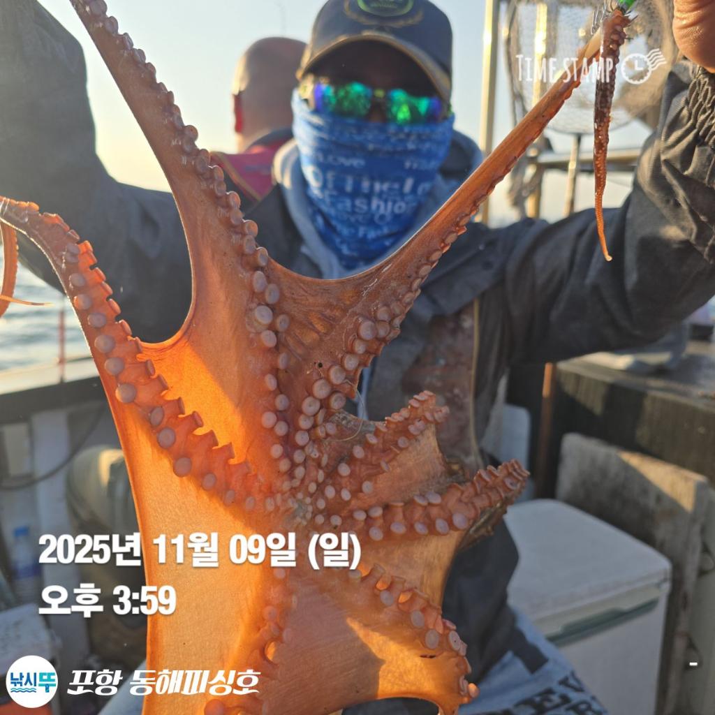 낚시뚜,돌문어,포항(운하관),포항 동해피싱호,낚시뚜18