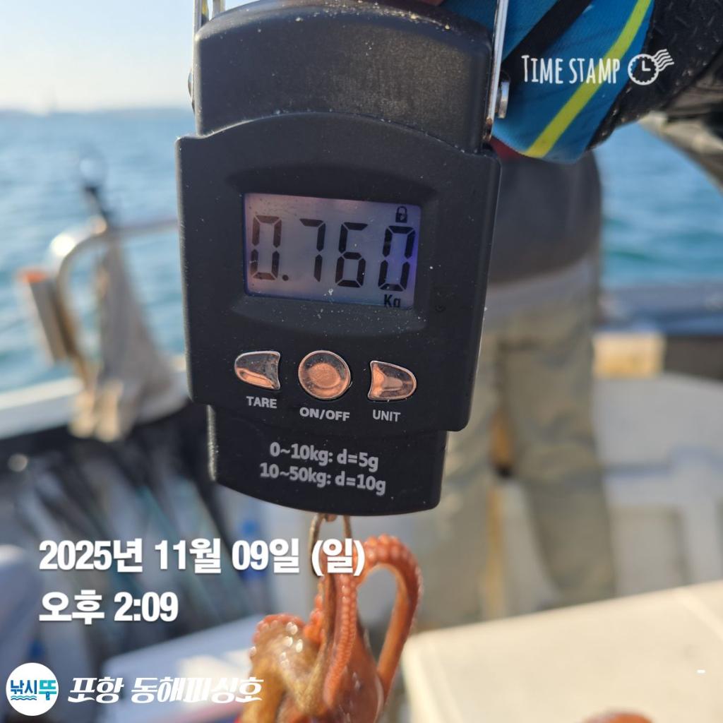 낚시뚜,돌문어,포항(운하관),포항 동해피싱호,낚시뚜14