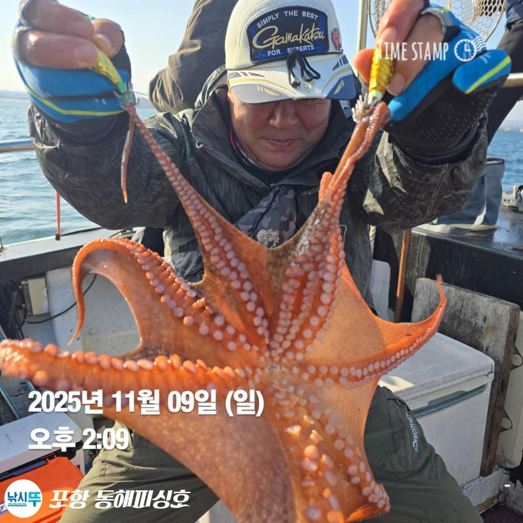 낚시뚜,돌문어,포항(운하관),포항 동해피싱호,낚시뚜13
