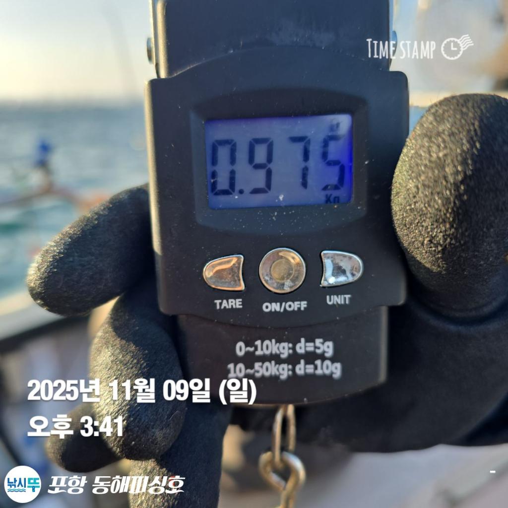 낚시뚜,돌문어,포항(운하관),포항 동해피싱호,낚시뚜11