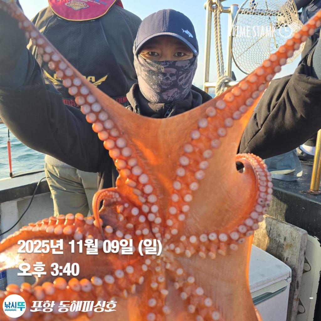 낚시뚜,돌문어,포항(운하관),포항 동해피싱호,낚시뚜10