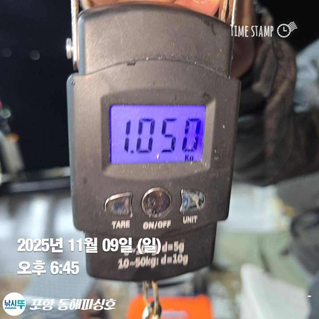 낚시뚜,돌문어,포항(운하관),포항 동해피싱호,낚시뚜8