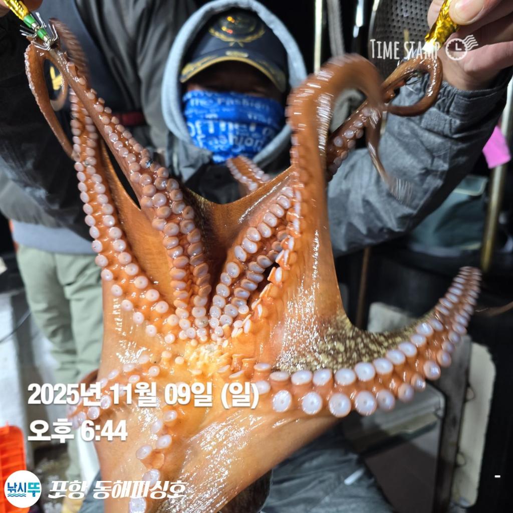 낚시뚜,돌문어,포항(운하관),포항 동해피싱호,낚시뚜7