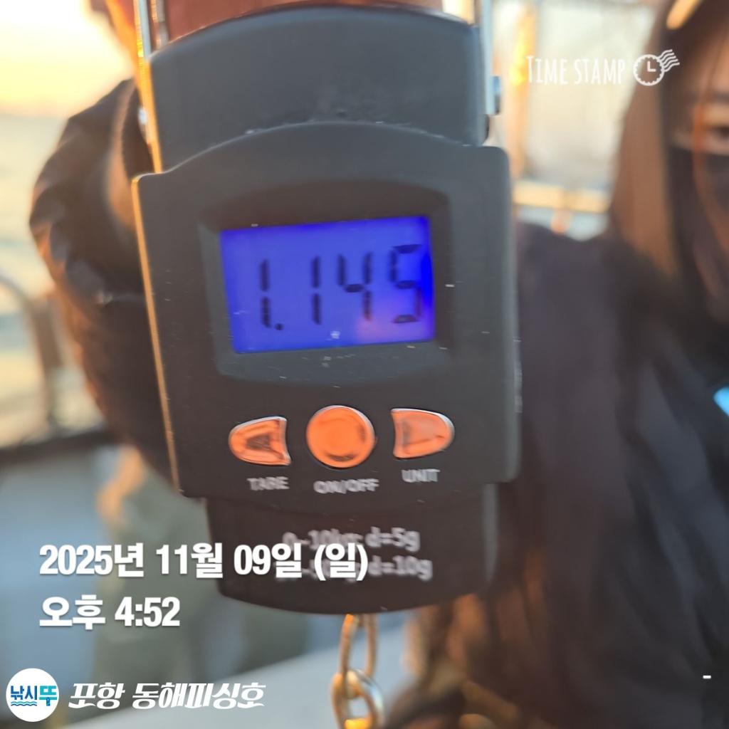 낚시뚜,돌문어,포항(운하관),포항 동해피싱호,낚시뚜5