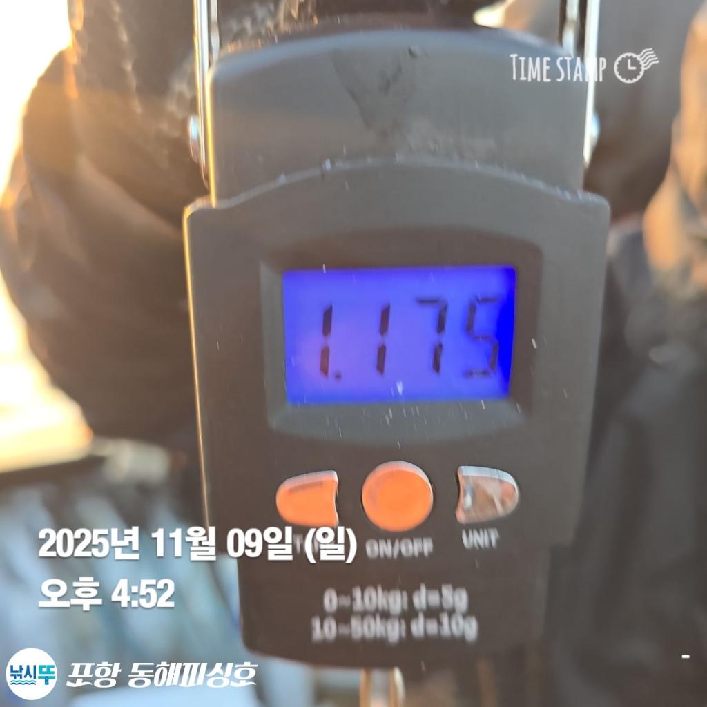 낚시뚜,돌문어,포항(운하관),포항 동해피싱호,낚시뚜4