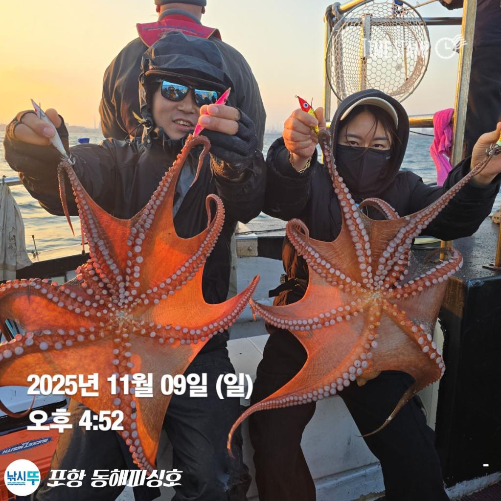 낚시뚜,돌문어,포항(운하관),포항 동해피싱호,낚시뚜3