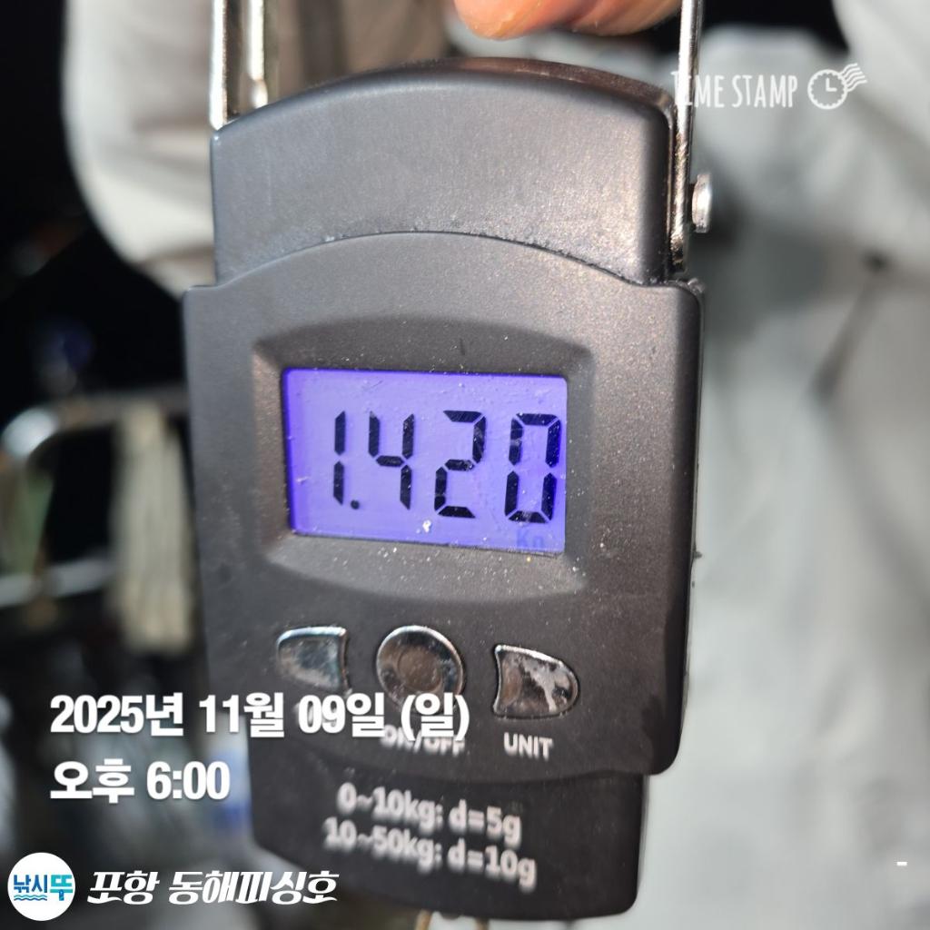 낚시뚜,돌문어,포항(운하관),포항 동해피싱호,낚시뚜1