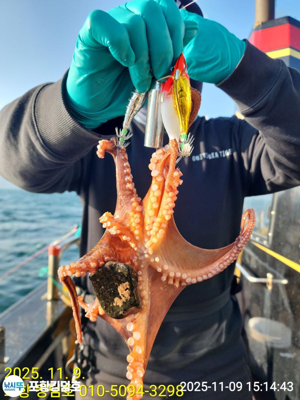 낚시뚜,돌문어,영일만항,포항 킹덤호,낚시뚜15