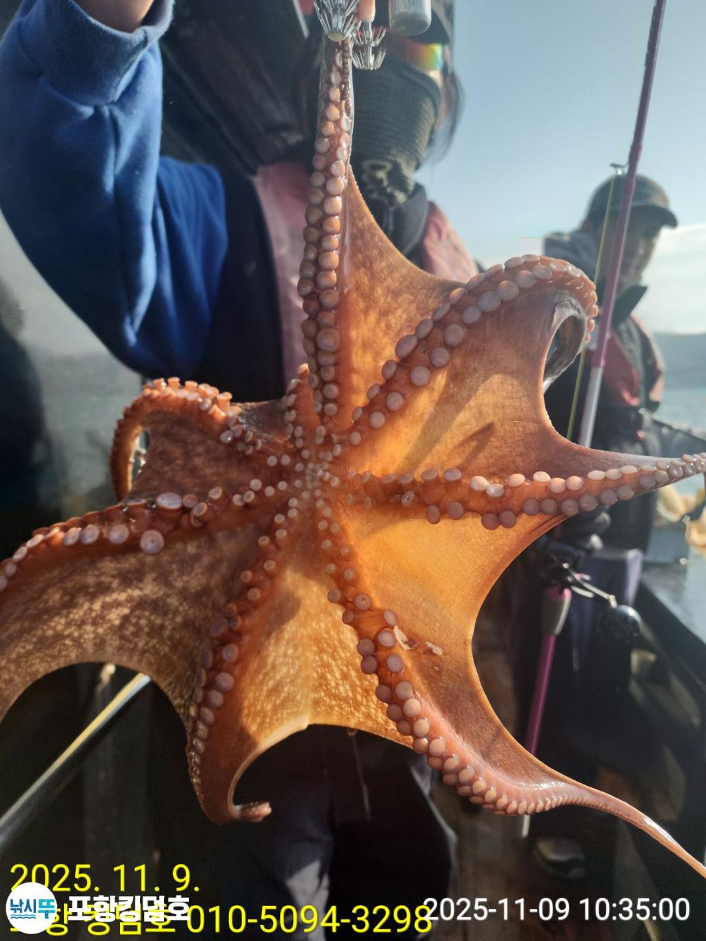 낚시뚜,돌문어,영일만항,포항 킹덤호,낚시뚜13