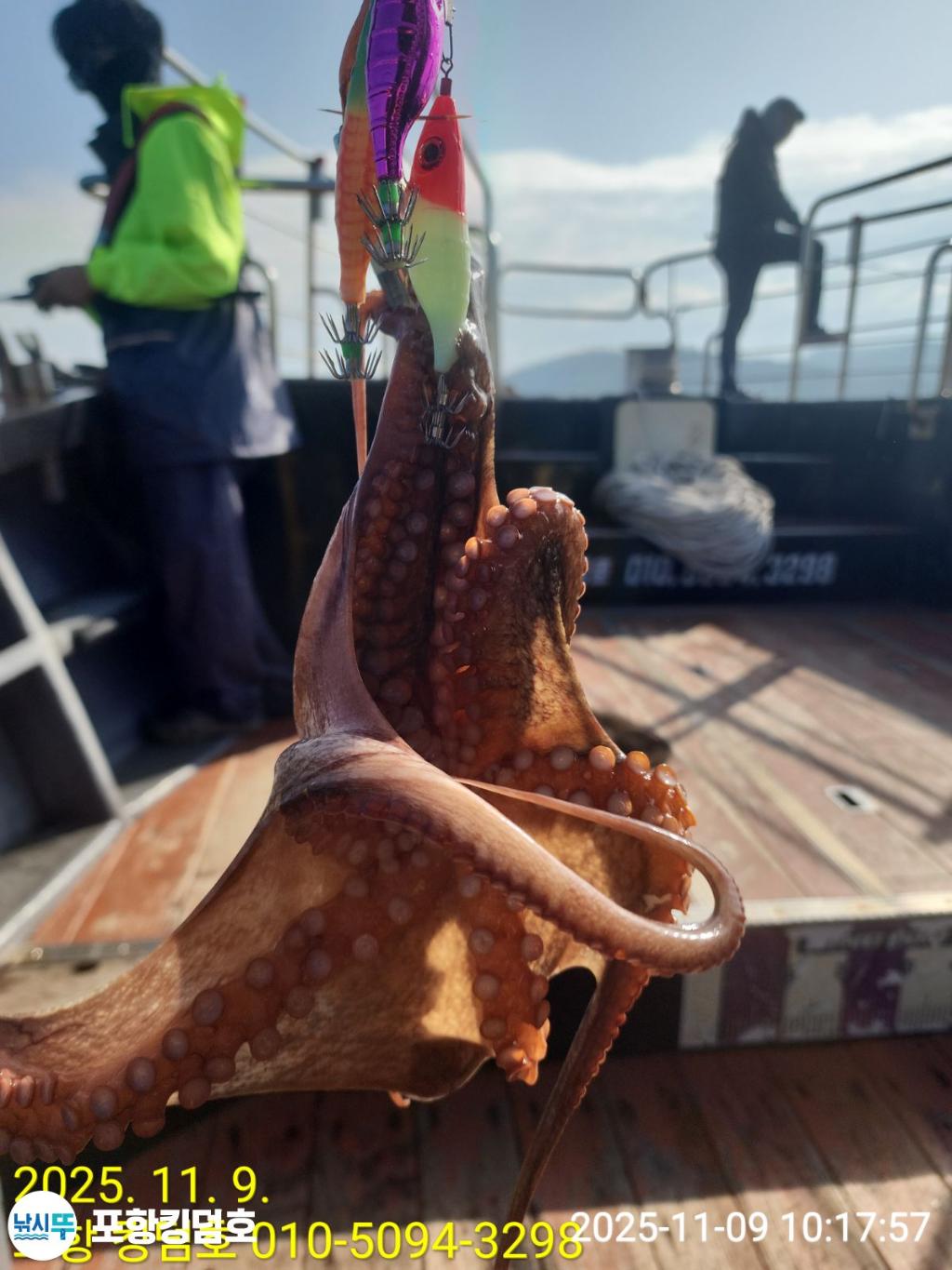 낚시뚜,돌문어,영일만항,포항 킹덤호,낚시뚜11