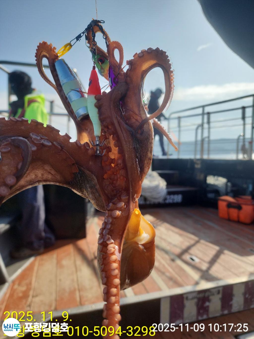 낚시뚜,돌문어,영일만항,포항 킹덤호,낚시뚜10