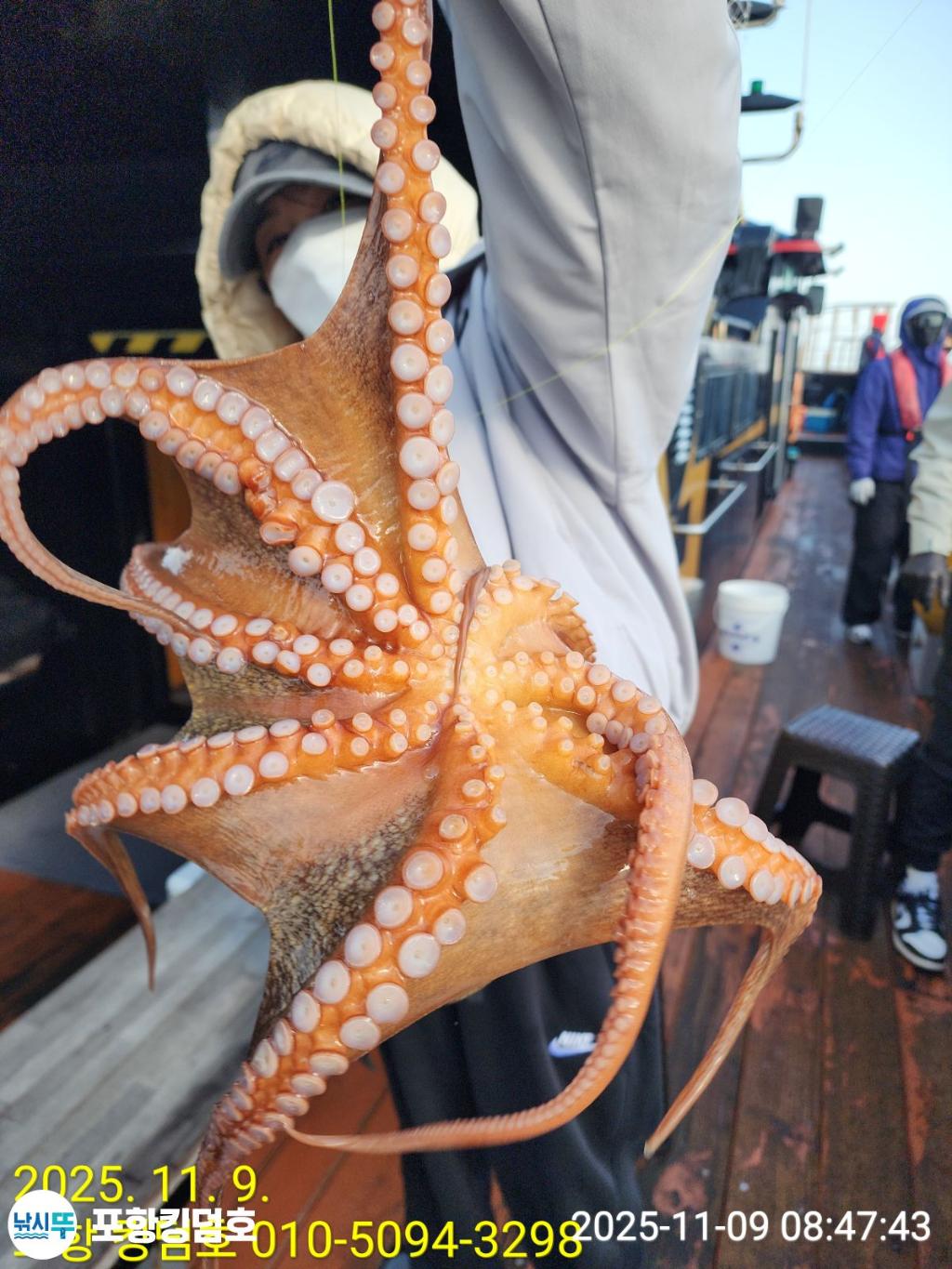 낚시뚜,돌문어,영일만항,포항 킹덤호,낚시뚜6