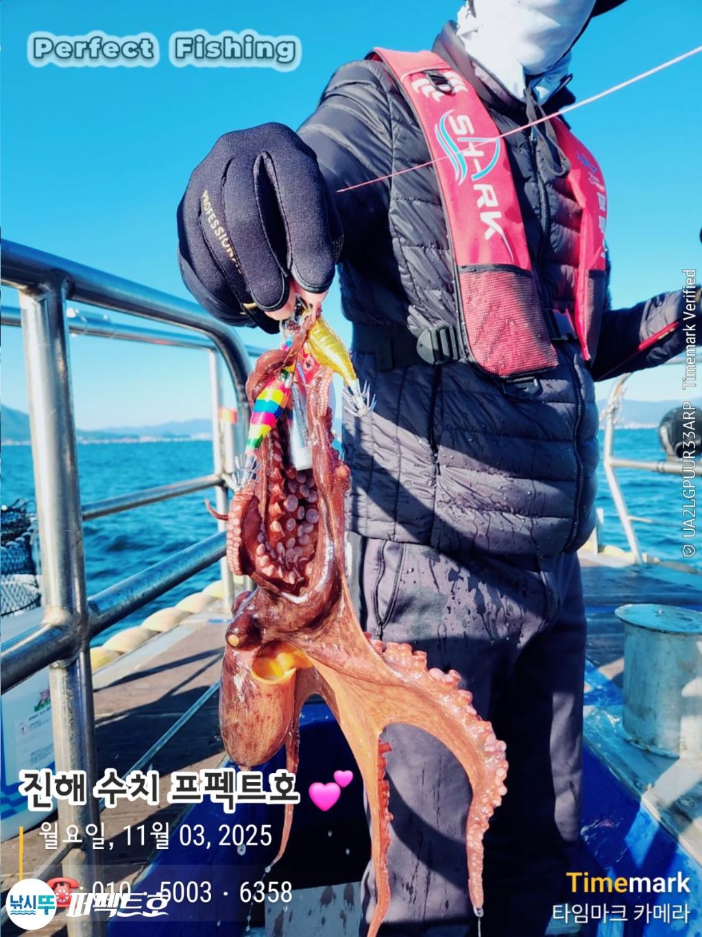 낚시뚜,돌문어,진해 수치마을 방파제,퍼펙트호,낚시뚜1