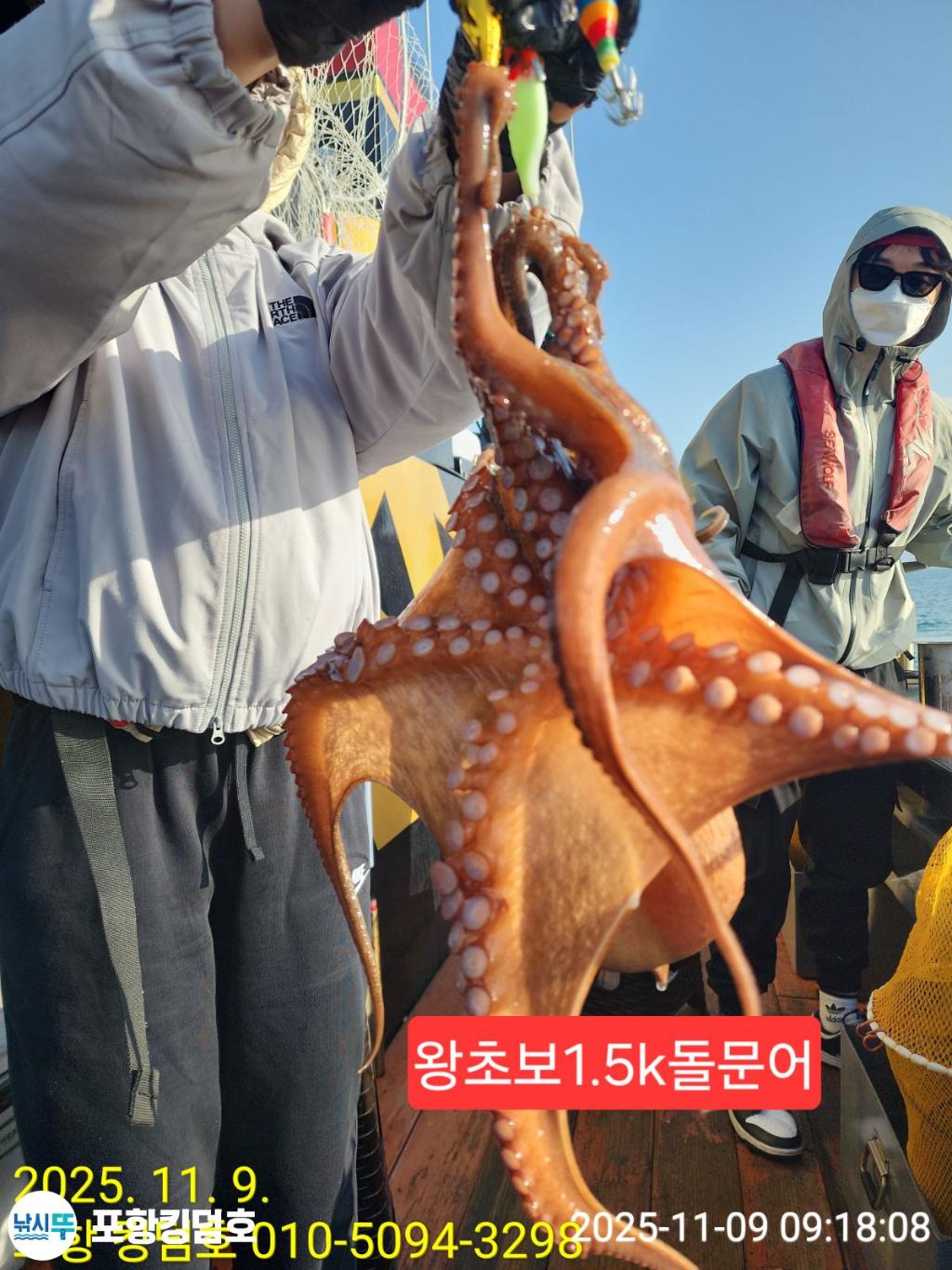 낚시뚜,돌문어,영일만항,포항 킹덤호,낚시뚜8