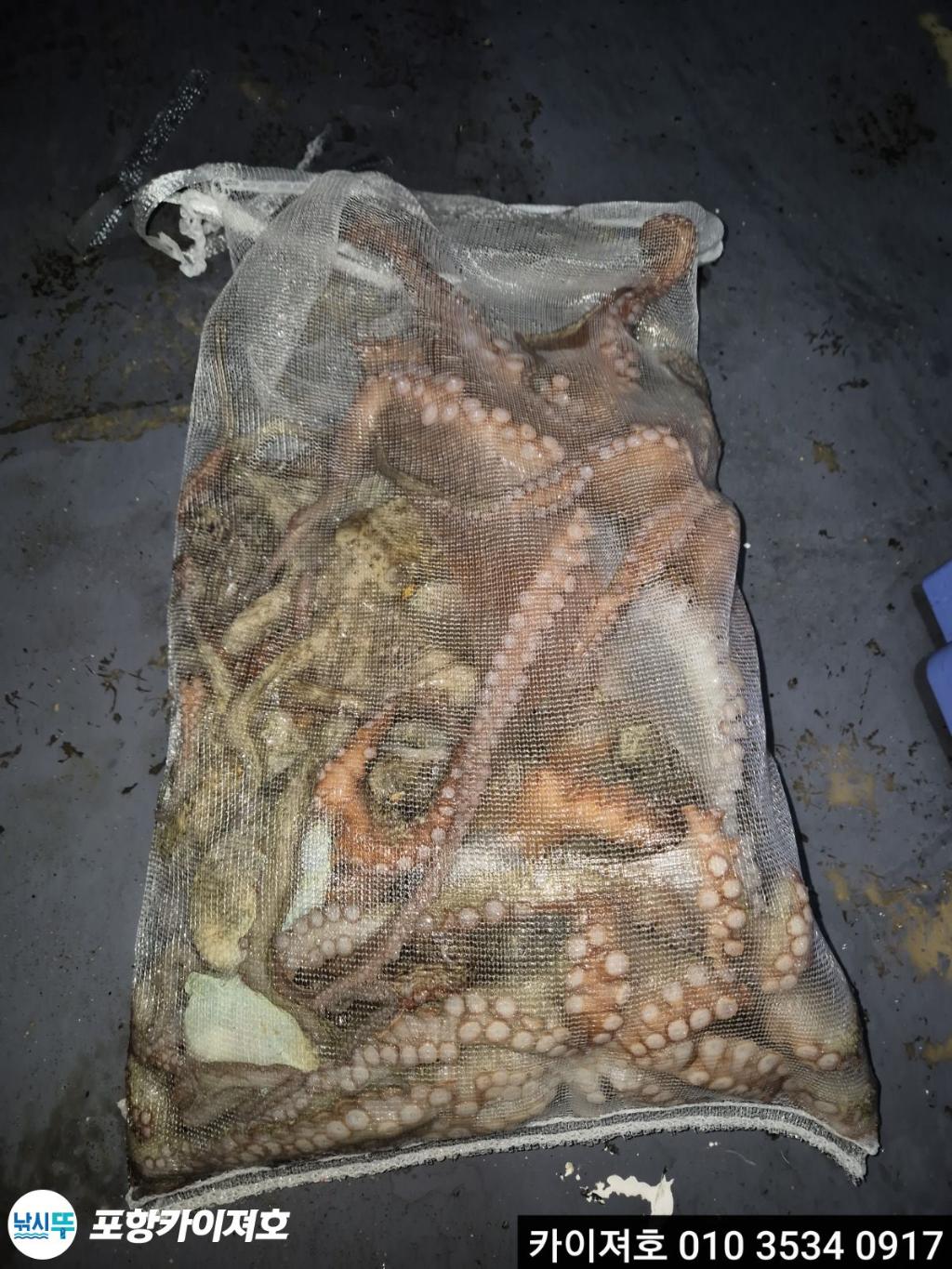 낚시뚜,기타 (직접입력),영일만항,포항카이져호,낚시뚜1