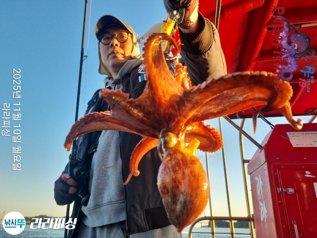 낚시뚜,돌문어,속천항(진해),라라피싱,낚시뚜13