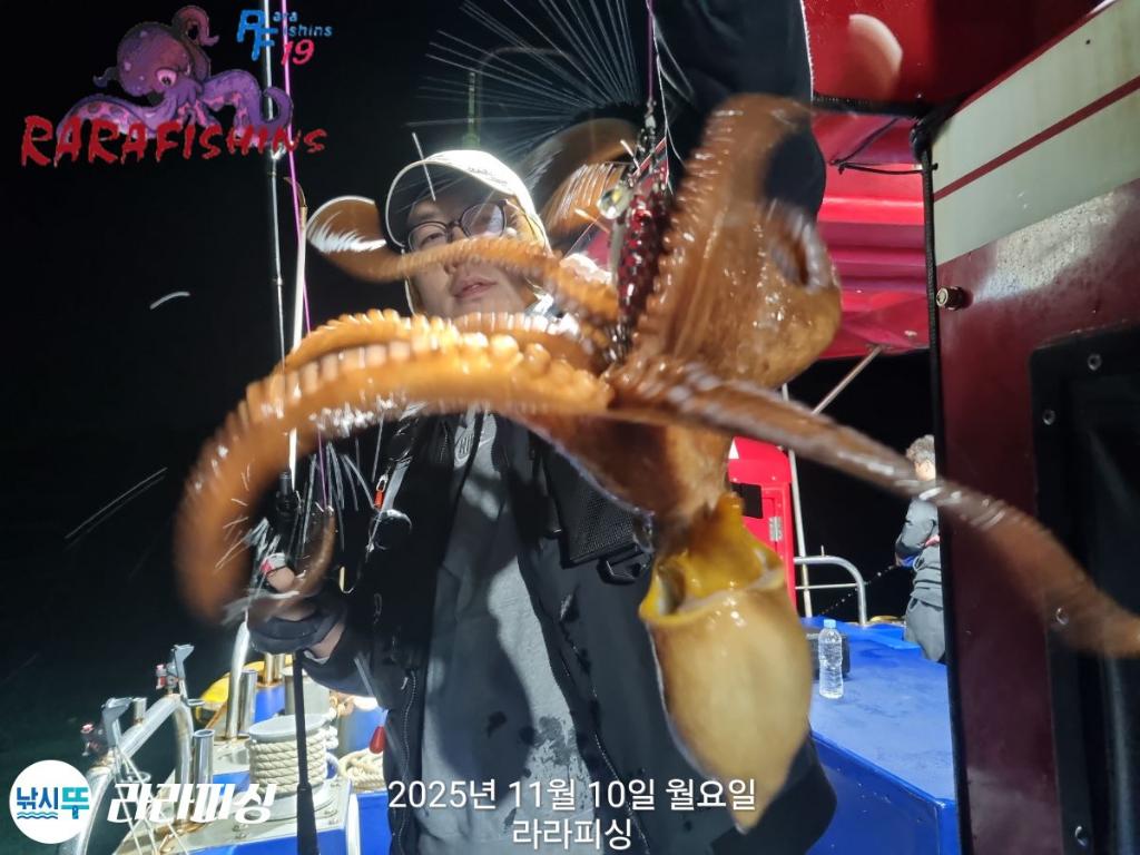 낚시뚜,돌문어,속천항(진해),라라피싱,낚시뚜10