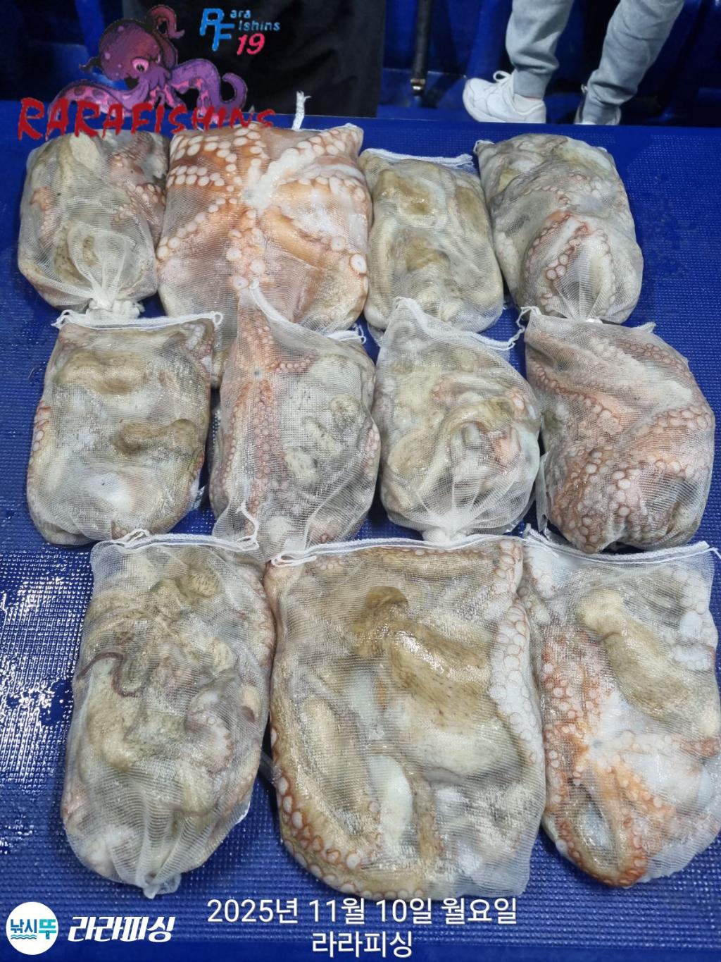 낚시뚜,돌문어,속천항(진해),라라피싱,낚시뚜0