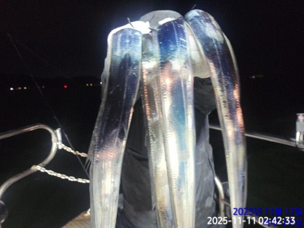 낚시뚜,갈치,속천항(진해),바루나피싱,낚시뚜12