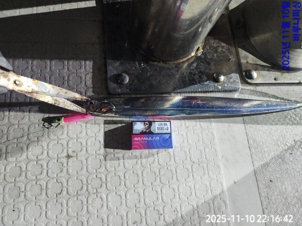 낚시뚜,갈치,속천항(진해),바루나피싱,낚시뚜0