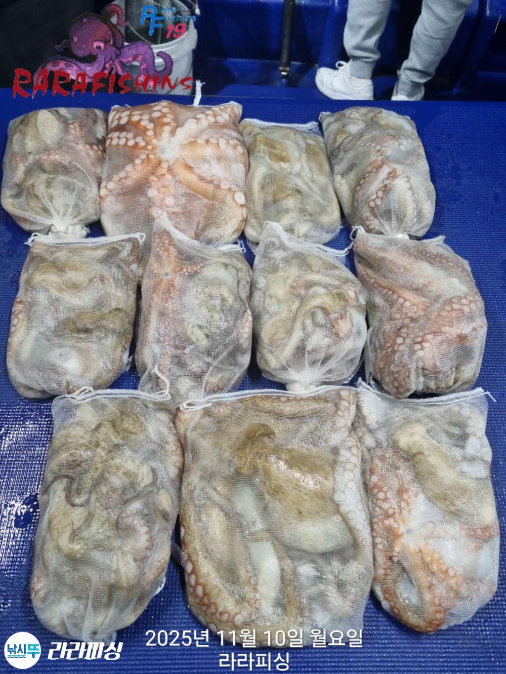 낚시뚜,돌문어,속천항(진해),라라피싱,낚시뚜22