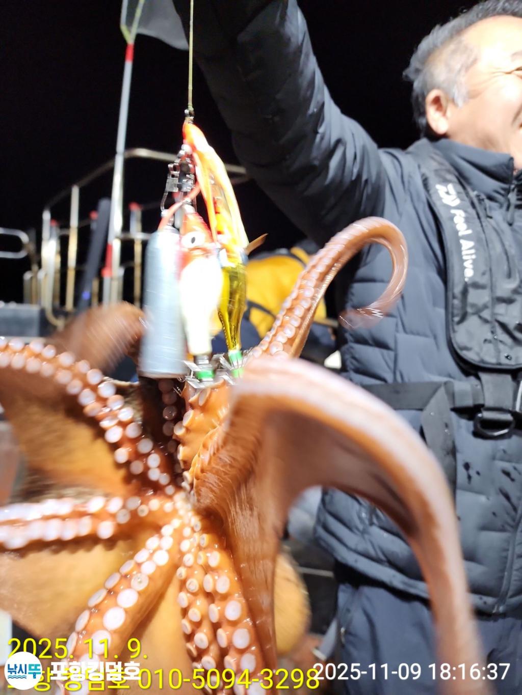 낚시뚜,돌문어,영일만항,포항 킹덤호,낚시뚜17