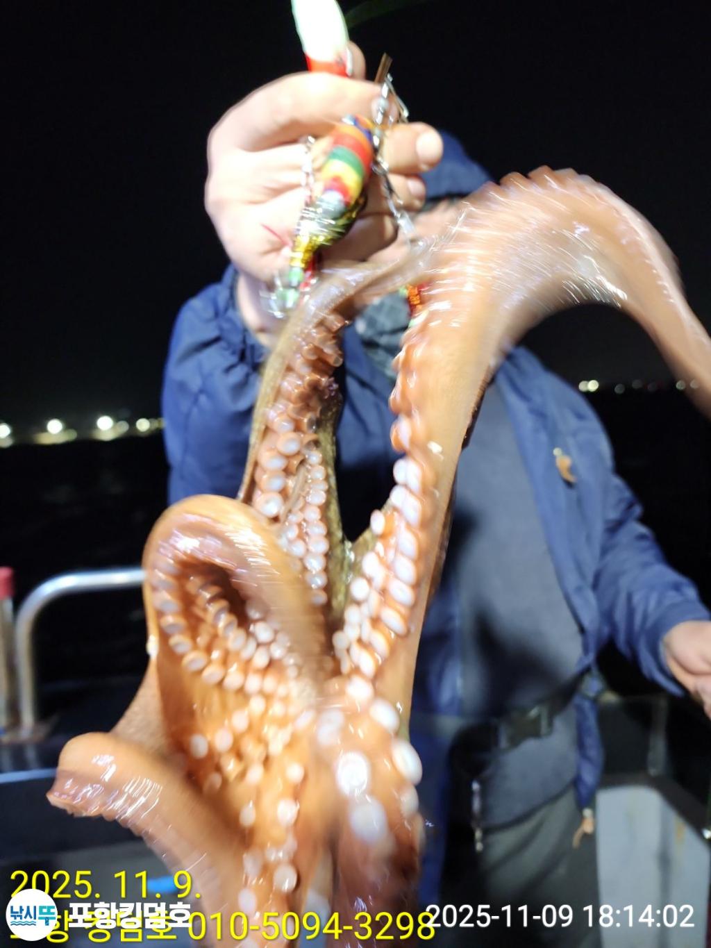 낚시뚜,돌문어,영일만항,포항 킹덤호,낚시뚜15