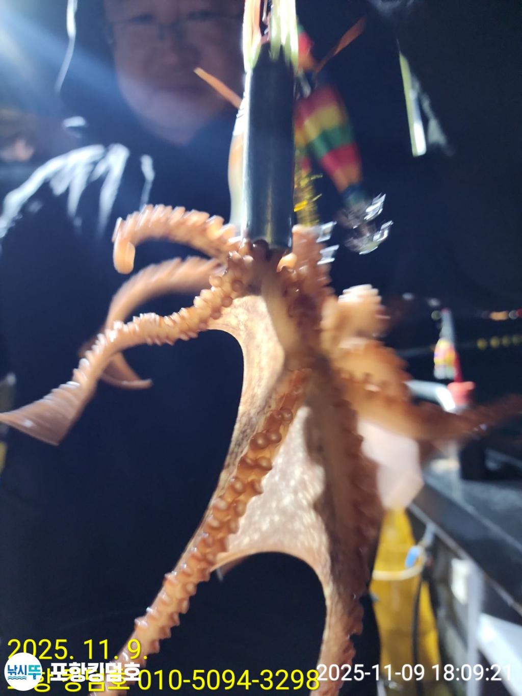 낚시뚜,돌문어,영일만항,포항 킹덤호,낚시뚜14