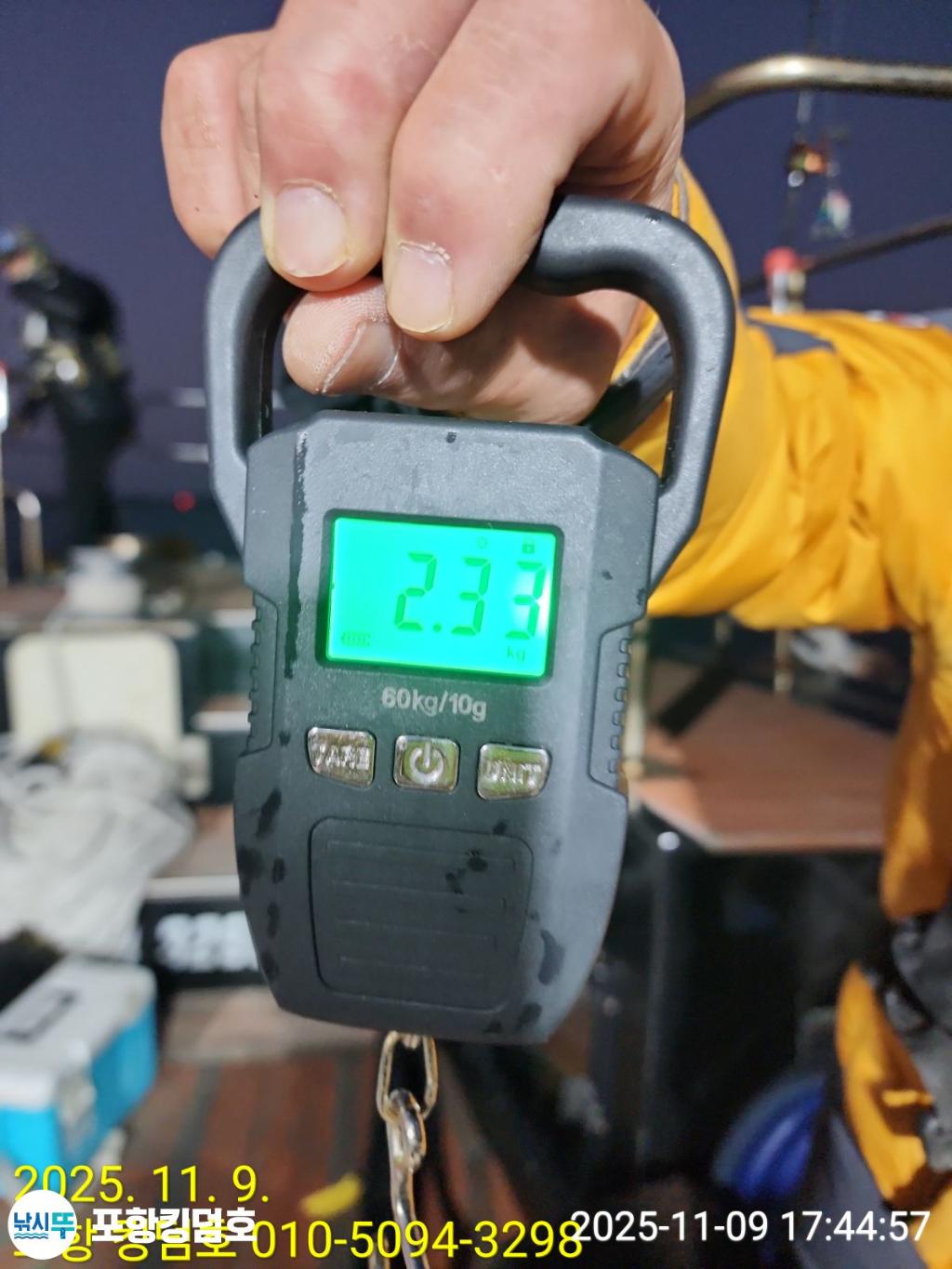 낚시뚜,돌문어,영일만항,포항 킹덤호,낚시뚜12