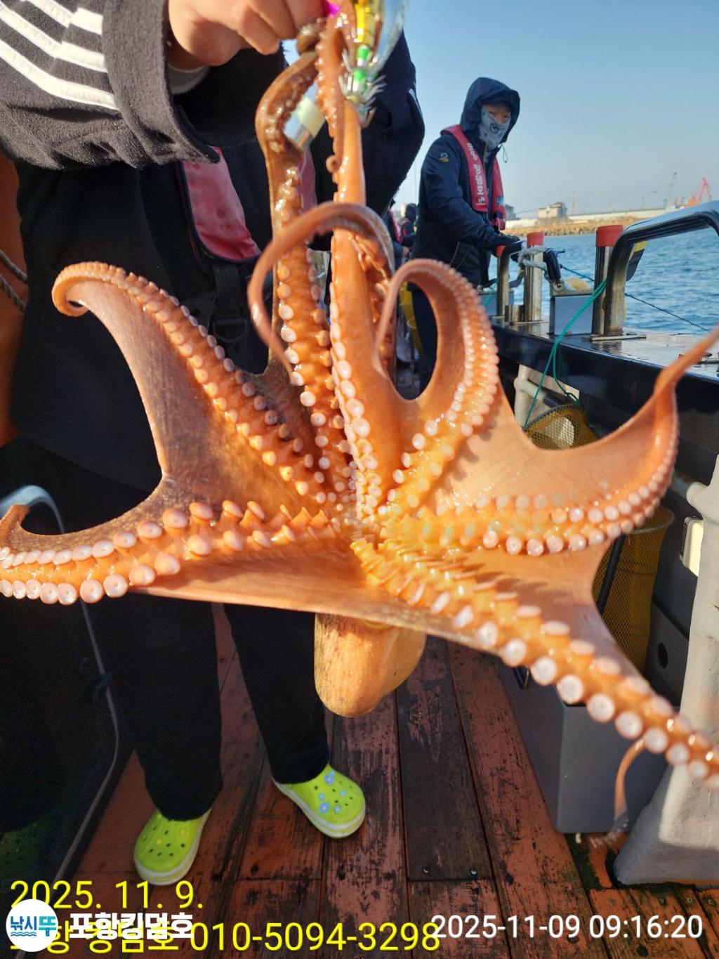 낚시뚜,돌문어,영일만항,포항 킹덤호,낚시뚜2
