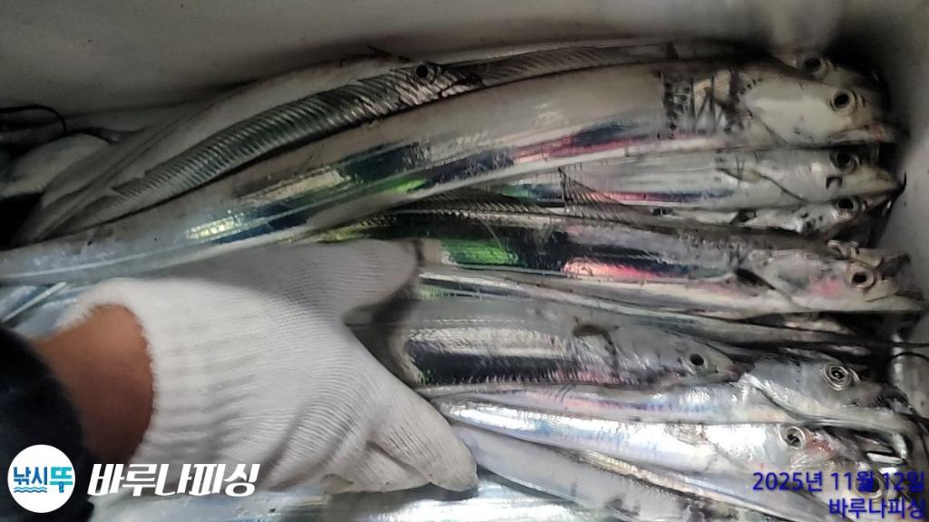 낚시뚜,갈치,속천항(진해),바루나피싱,낚시뚜5