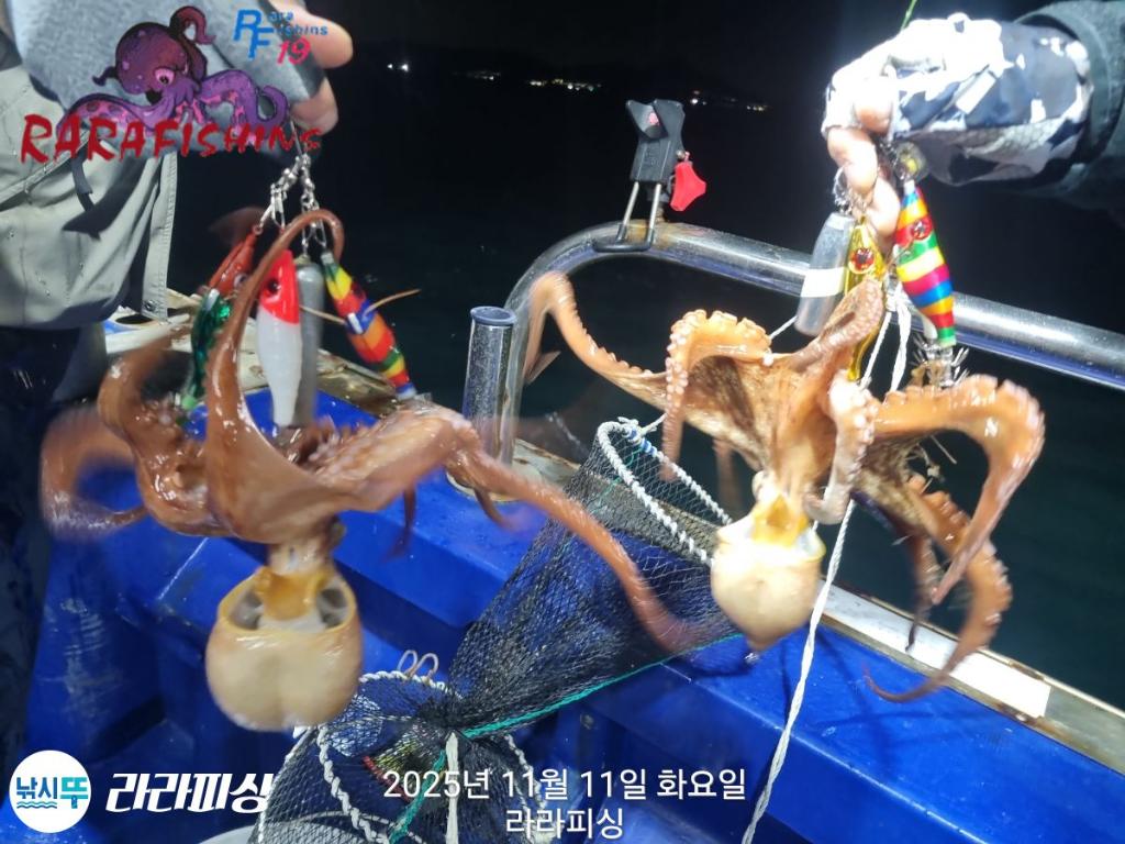 낚시뚜,돌문어,속천항(진해),라라피싱,낚시뚜13