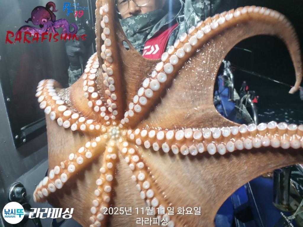 낚시뚜,돌문어,속천항(진해),라라피싱,낚시뚜5