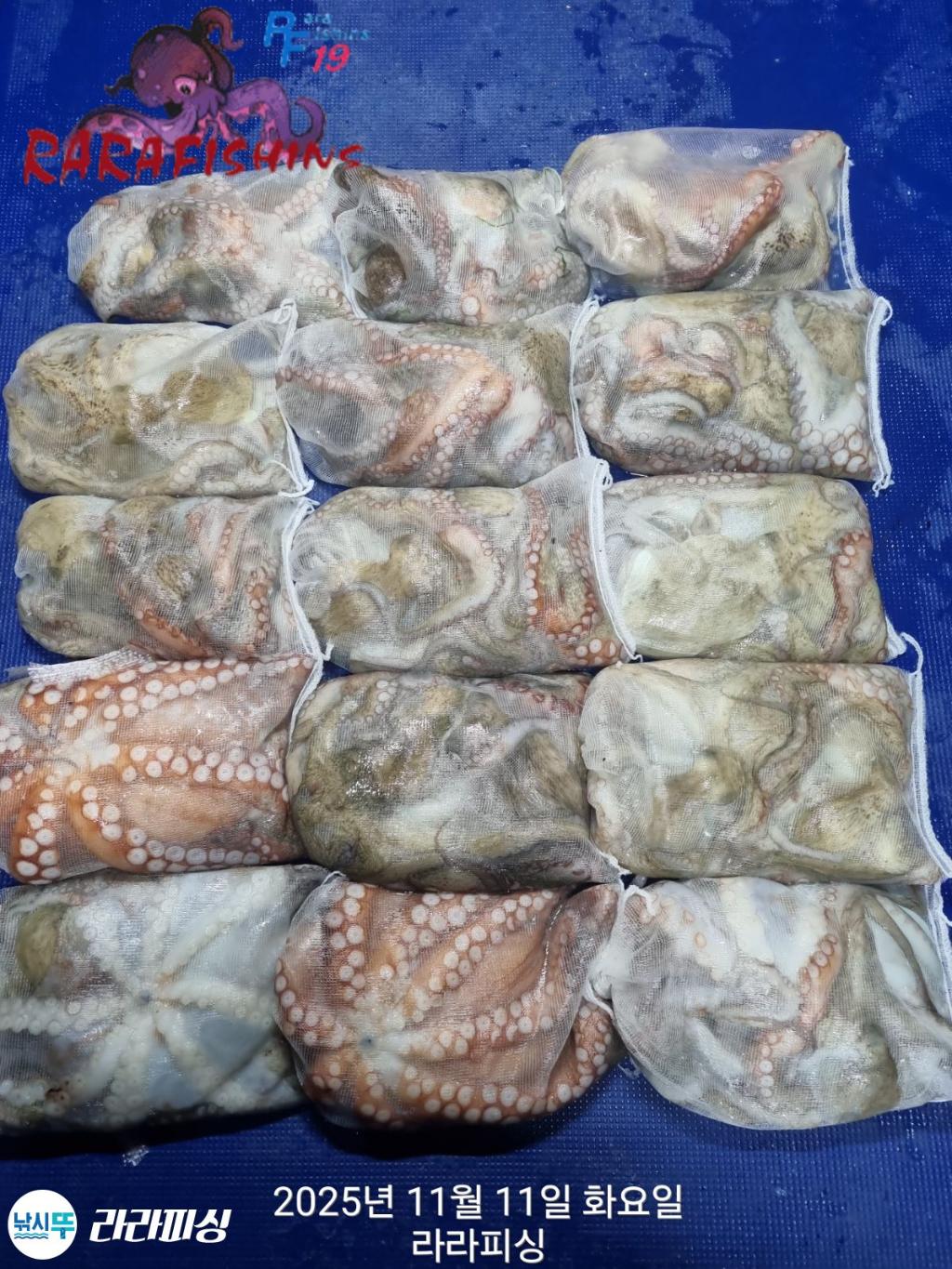 낚시뚜,돌문어,속천항(진해),라라피싱,낚시뚜1