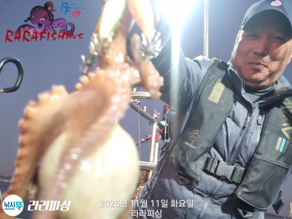 낚시뚜,돌문어,속천항(진해),라라피싱,낚시뚜5