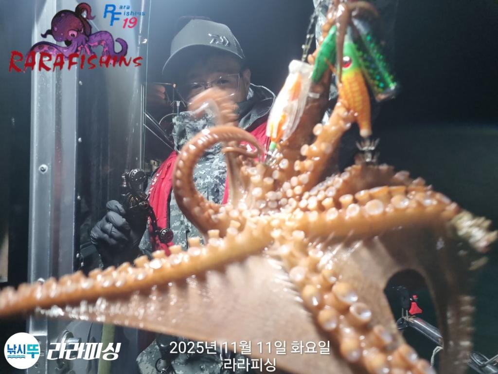 낚시뚜,돌문어,속천항(진해),라라피싱,낚시뚜3