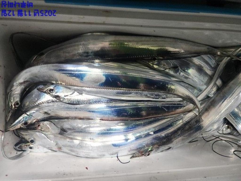 낚시뚜,갈치,속천항(진해),바루나피싱,낚시뚜8